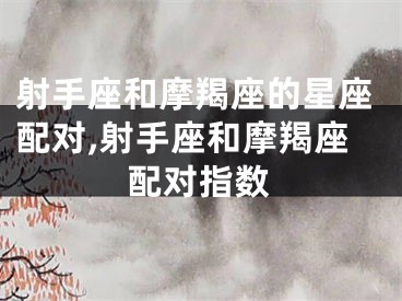 射手座和摩羯座的星座配对,射手座和摩羯座配对指数