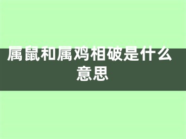 属鼠和属鸡相破是什么意思