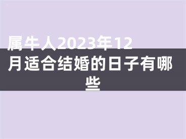 属牛人2023年12月适合结婚的日子有哪些