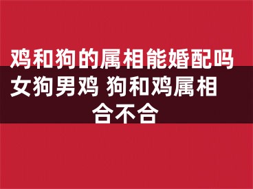 鸡和狗的属相能婚配吗女狗男鸡 狗和鸡属相合不合