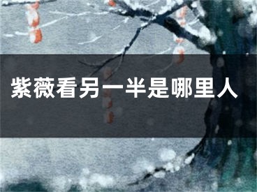 紫薇看另一半是哪里人