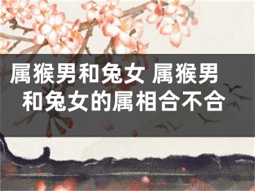 属猴男和兔女 属猴男和兔女的属相合不合