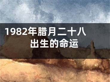 1982年腊月二十八出生的命运