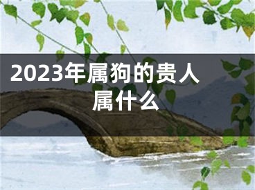 2023年属狗的贵人属什么