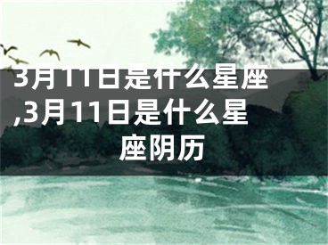 3月11日是什么星座,3月11日是什么星座阴历