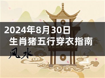 2024年8月30日生肖猪五行穿衣指南