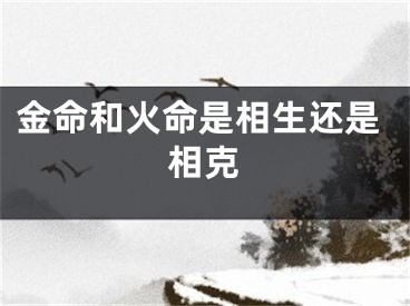 金命和火命是相生还是相克
