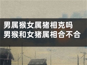 男属猴女属猪相克吗 男猴和女猪属相合不合
