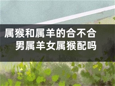 属猴和属羊的合不合 男属羊女属猴配吗