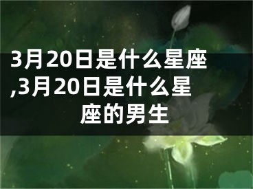 3月20日是什么星座,3月20日是什么星座的男生