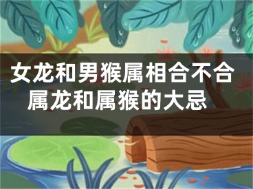 女龙和男猴属相合不合 属龙和属猴的大忌