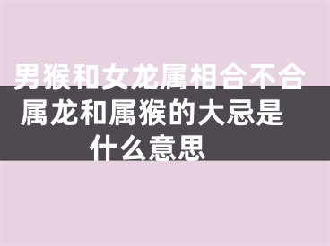 男猴和女龙属相合不合 属龙和属猴的大忌是什么意思 