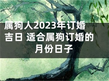 属狗人2023年订婚吉日 适合属狗订婚的月份日子