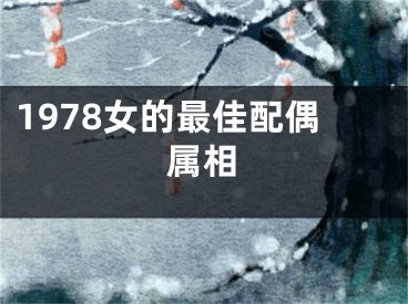 1978女的最佳配偶属相