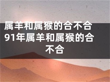 属羊和属猴的合不合 91年属羊和属猴的合不合