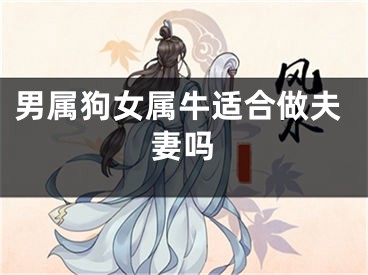 男属狗女属牛适合做夫妻吗