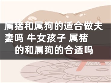 属猪和属狗的适合做夫妻吗 牛女孩子 属猪的和属狗的合适吗