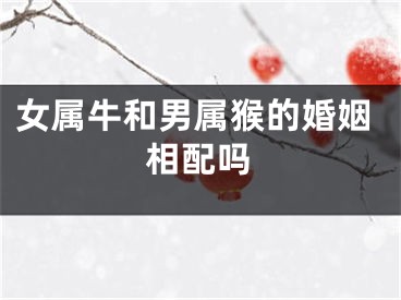 女属牛和男属猴的婚姻相配吗