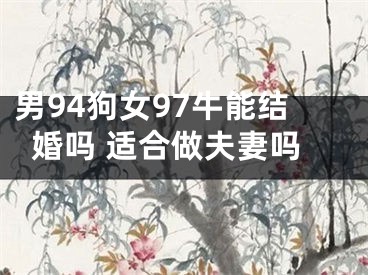 男94狗女97牛能结婚吗 适合做夫妻吗