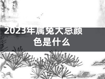 2023年属兔大忌颜色是什么