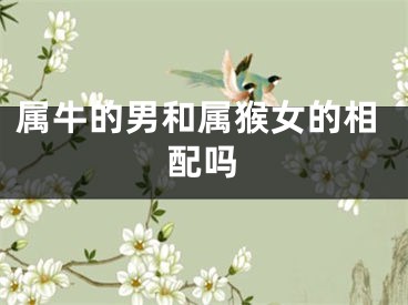 属牛的男和属猴女的相配吗