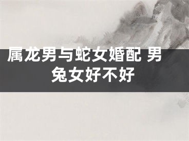 属龙男与蛇女婚配 男兔女好不好
