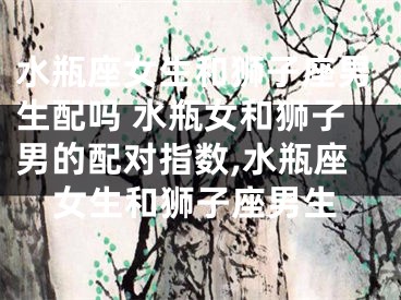 水瓶座女生和狮子座男生配吗 水瓶女和狮子男的配对指数,水瓶座女生和狮子座男生