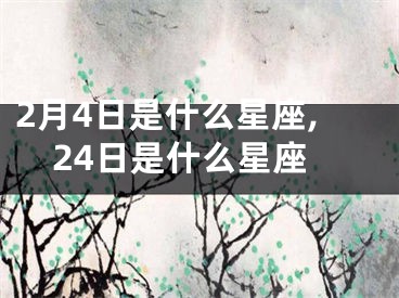 2月4日是什么星座,24日是什么星座