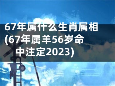 67年属什么生肖属相(67年属羊56岁命中注定2023)