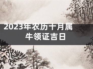 2023年农历十月属牛领证吉日