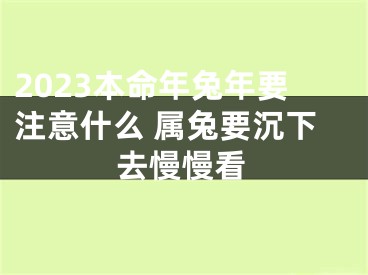 2023本命年兔年要注意什么 属兔要沉下去慢慢看