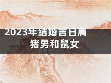 2023年结婚吉日属猪男和鼠女