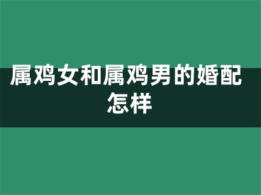 属鸡女和属鸡男的婚配怎样