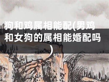 狗和鸡属相能配(男鸡和女狗的属相能婚配吗)