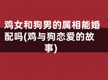 鸡女和狗男的属相能婚配吗(鸡与狗恋爱的故事)