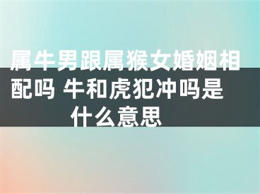 属牛男跟属猴女婚姻相配吗 牛和虎犯冲吗是什么意思 