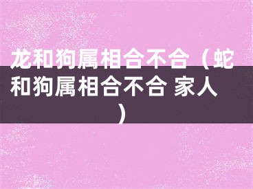 龙和狗属相合不合（蛇和狗属相合不合 家人）