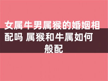 女属牛男属猴的婚姻相配吗 属猴和牛属如何般配