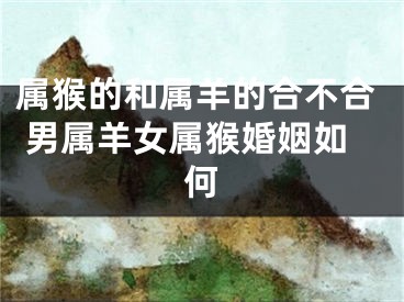属猴的和属羊的合不合 男属羊女属猴婚姻如何