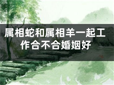 属相蛇和属相羊一起工作合不合婚姻好