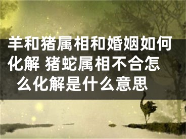 羊和猪属相和婚姻如何化解 猪蛇属相不合怎么化解是什么意思 