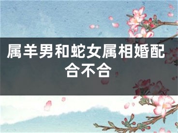 属羊男和蛇女属相婚配合不合