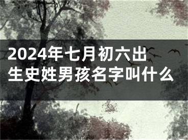 2024年七月初六出生史姓男孩名字叫什么