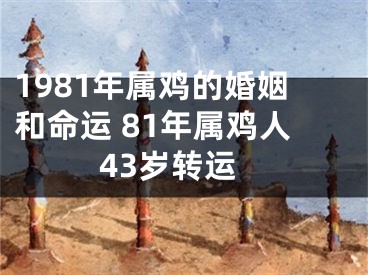 1981年属鸡的婚姻和命运 81年属鸡人43岁转运