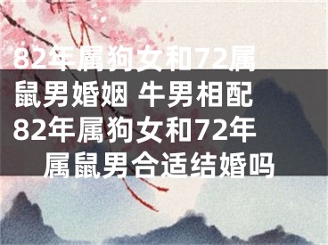 82年属狗女和72属鼠男婚姻 牛男相配 82年属狗女和72年属鼠男合适结婚吗