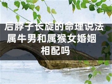 后脖子长旋的命理说法 属牛男和属猴女婚姻相配吗