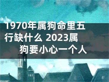 1970年属狗命里五行缺什么 2023属狗要小心一个人