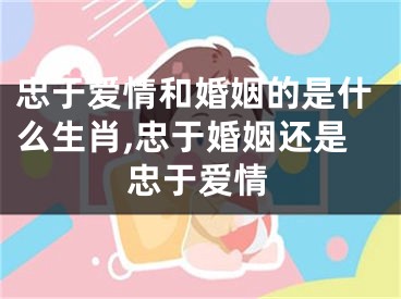 忠于爱情和婚姻的是什么生肖,忠于婚姻还是忠于爱情