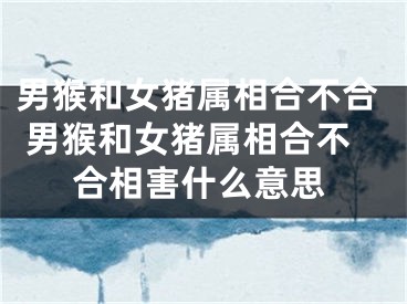 男猴和女猪属相合不合 男猴和女猪属相合不合相害什么意思