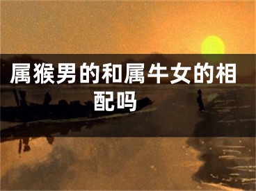 属猴男的和属牛女的相配吗 